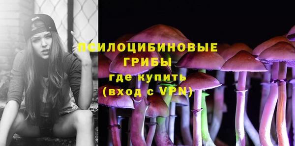 гидропоника Зерноград