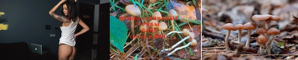 бутик Иннополис