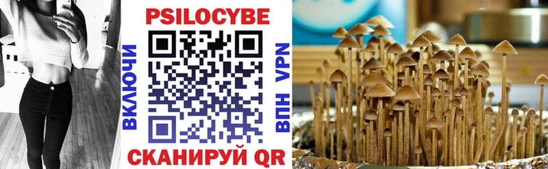 где купить наркоту  Чистополь  мориарти какой сайт  Галлюциногенные грибы прущие грибы 